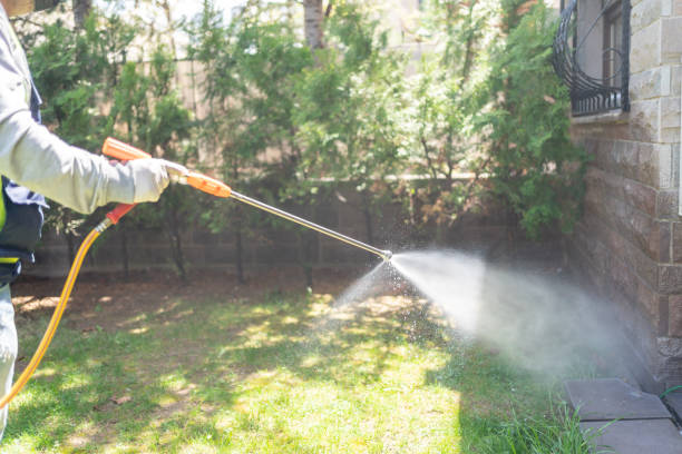 Best Mosquito Control Services  in Cherryville, PA