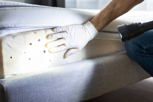Best Affordable Exterminators  in Cherryville, PA