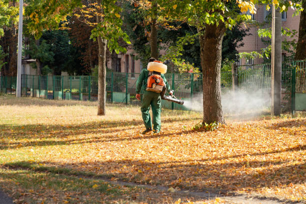 Best Rat Extermination Near Me  in Cherryville, PA