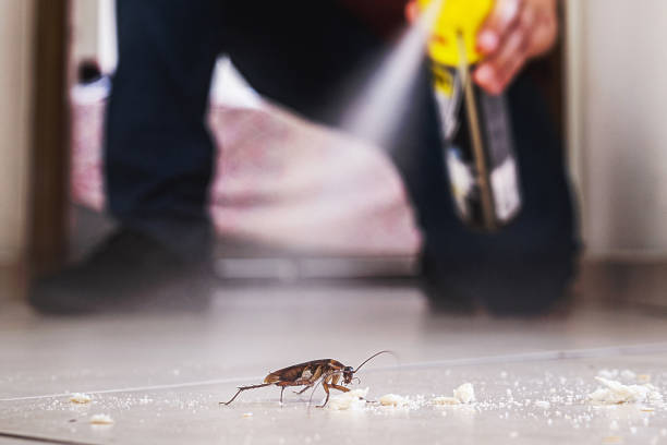 Best Residential Pest Control  in Cherryville, PA